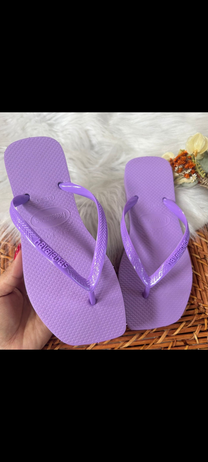 HAVAIANAS TRADICIONAL